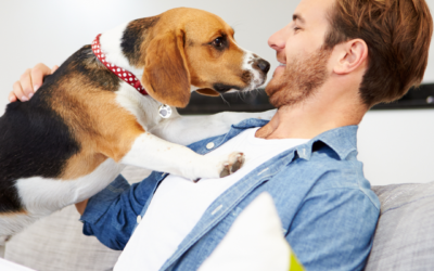 Pet Insurance